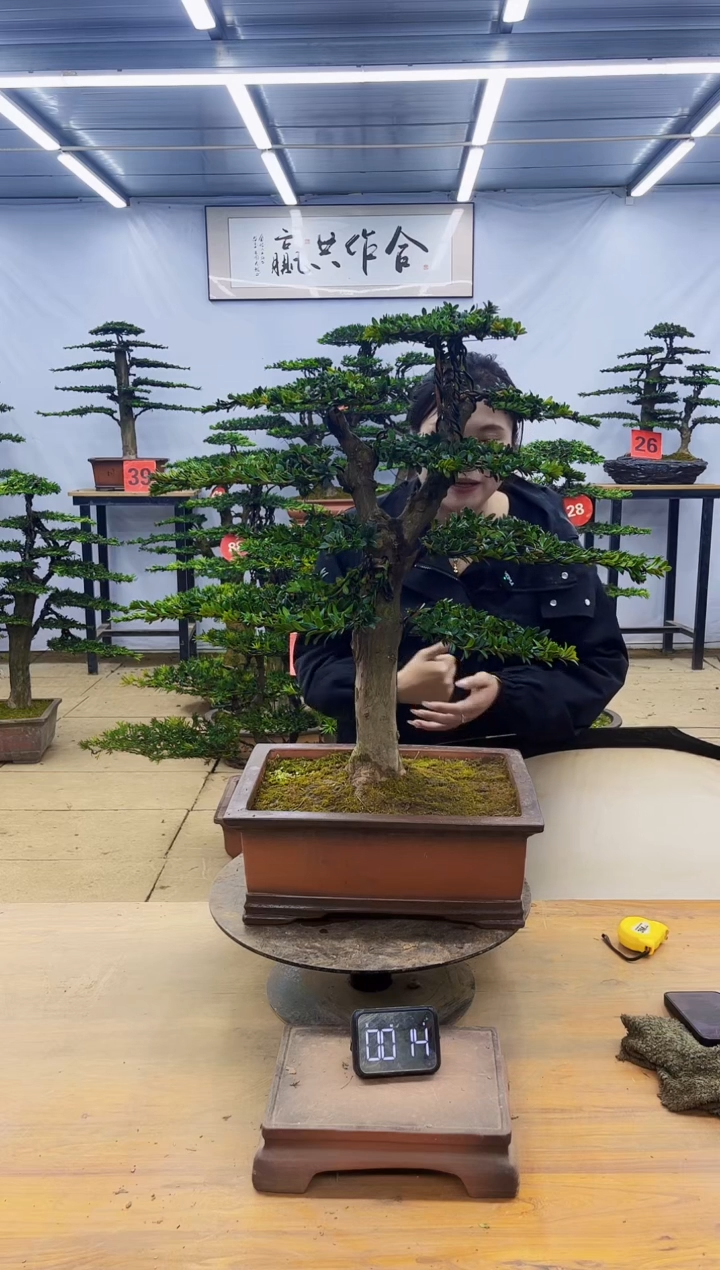 一物一拍，所见即所得