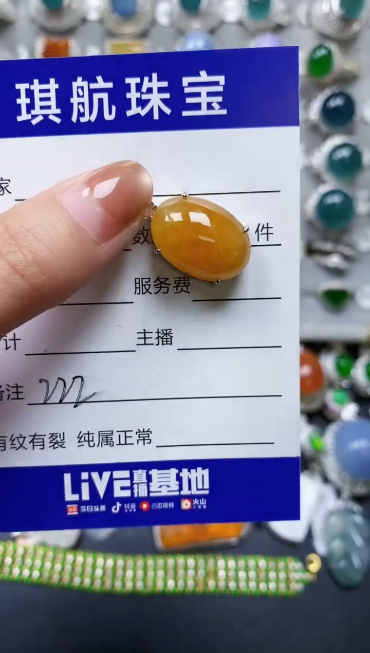 【闪购商品】翡翠颈饰银S925镶嵌0222