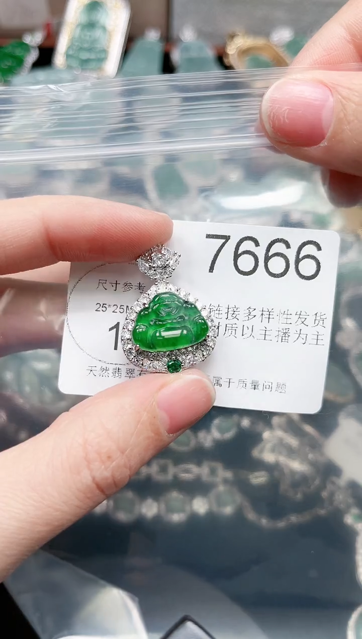【闪购商品】翡翠颈饰未镶嵌赠皮绳7666