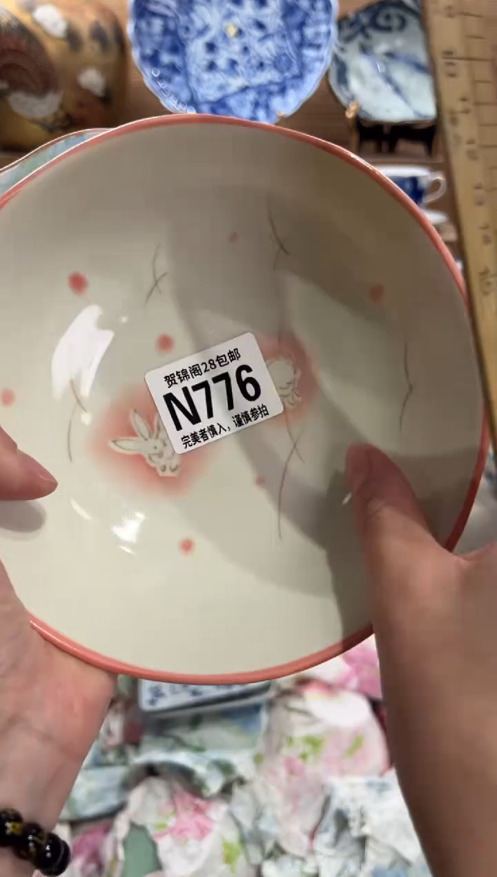 瓷片一*蚊      N776