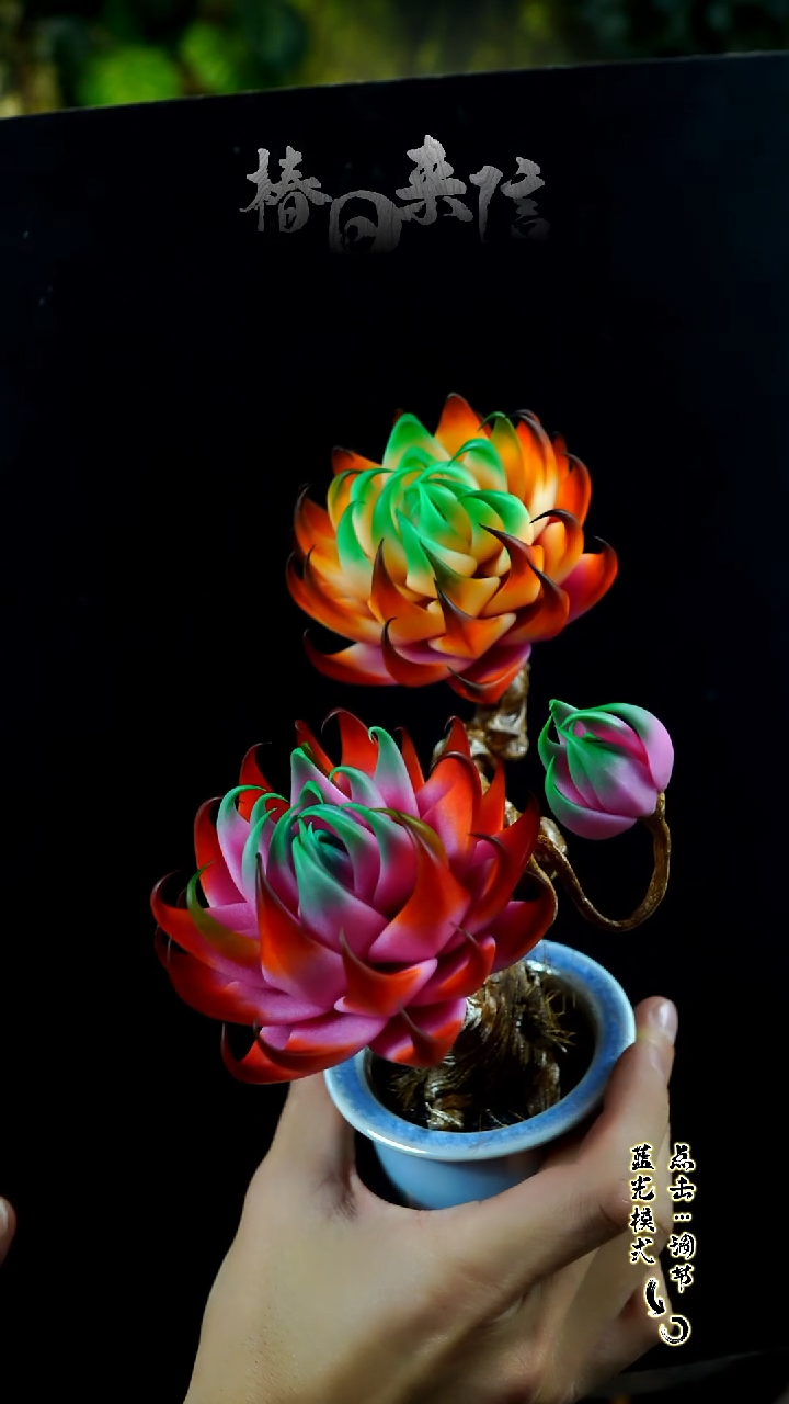 089.。。。。。。。。。。。