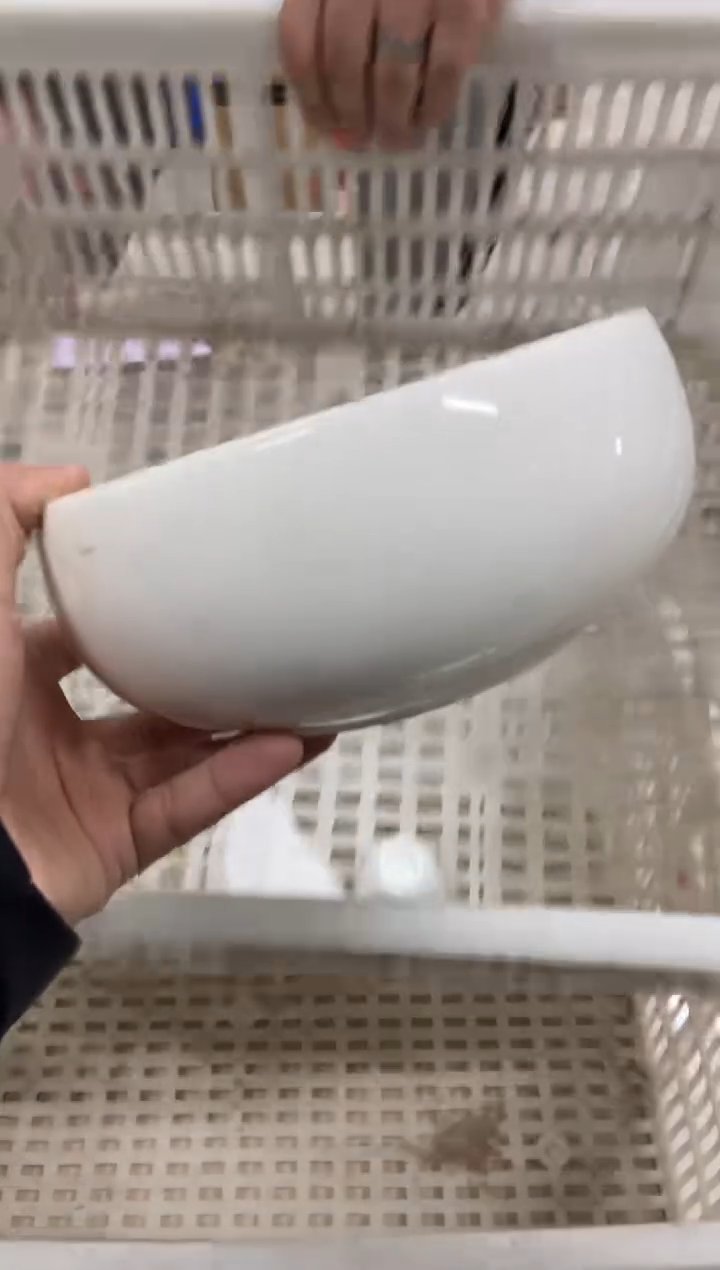 【闪购商品】杯无运费险略有微瑕介意勿拍