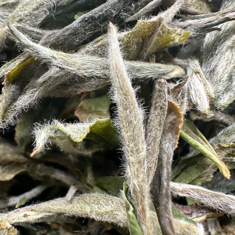 【双十二专享】康潮一品 2022年小芳特级白牡丹兰花香 