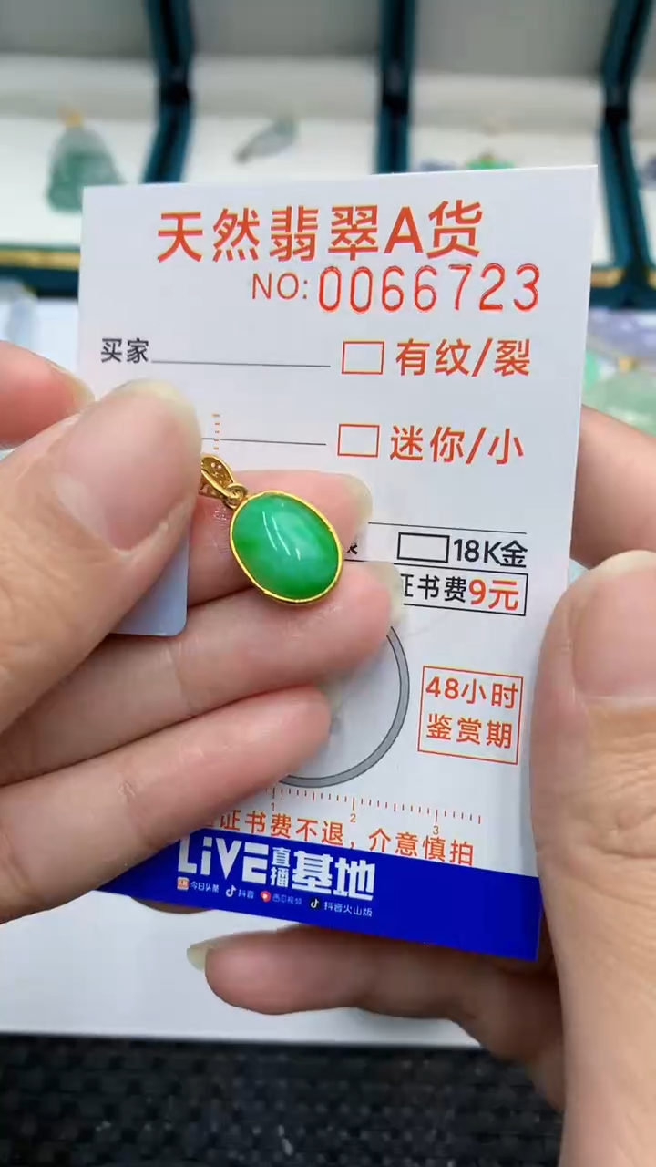 【闪购商品】翡翠颈饰银S925镶嵌            8