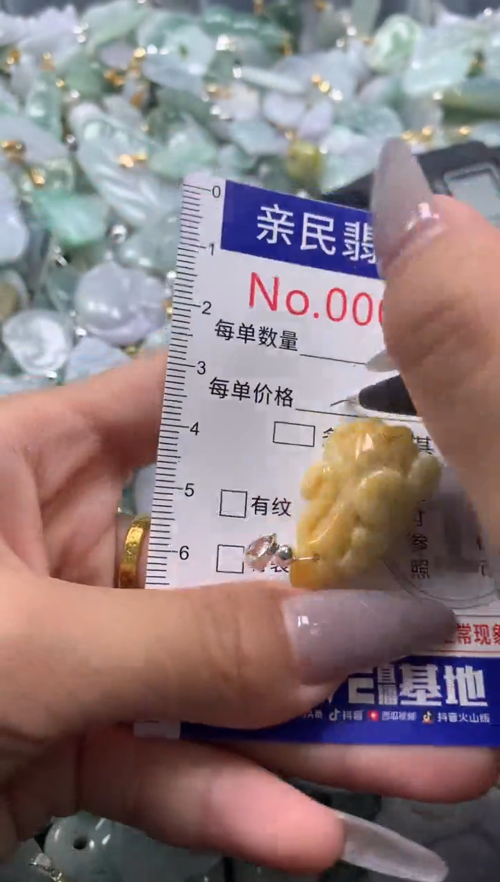 颈饰未镶嵌翡翠1868
