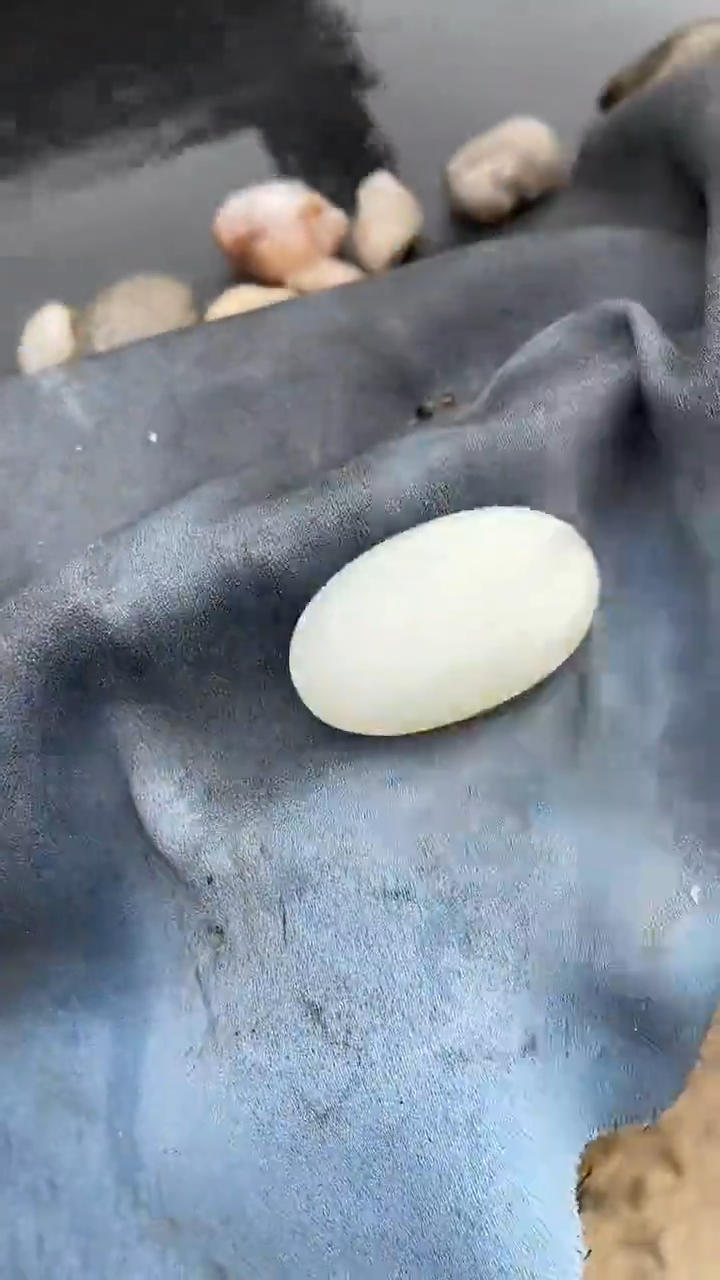 颈饰未镶嵌和田玉（糖玉）0015