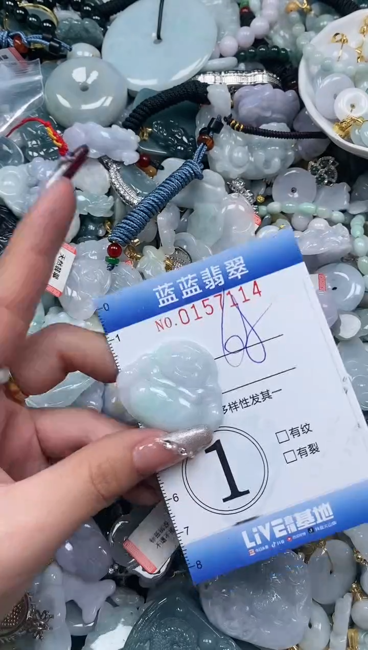 【闪购商品】翡翠颈饰未镶嵌闪购0157114