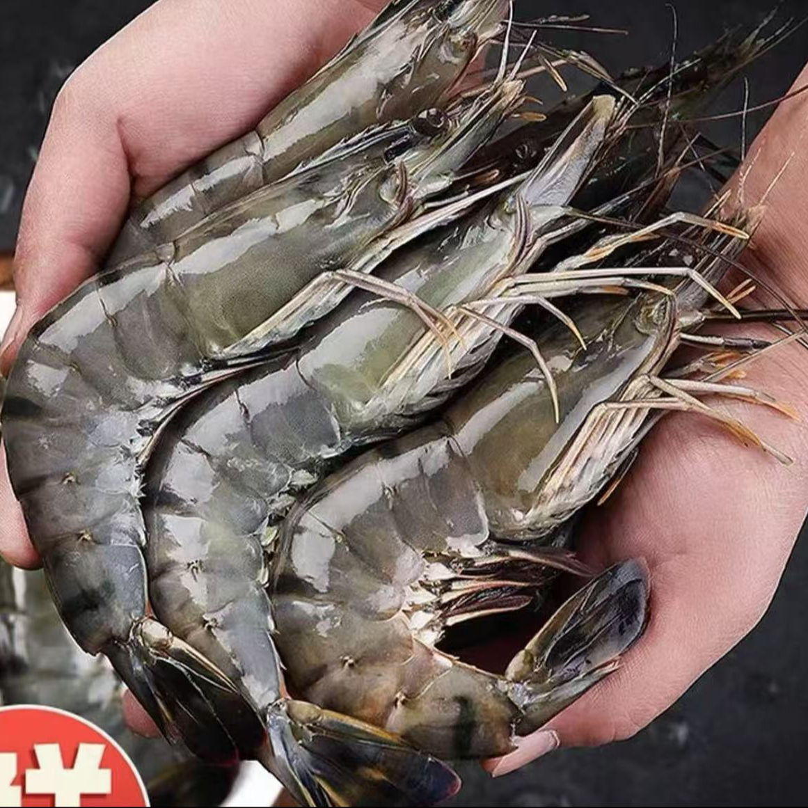 A【春春海鲜】鲜冻黑虎虾老虎虾16-20规格3斤/盒25-30只左右/盒