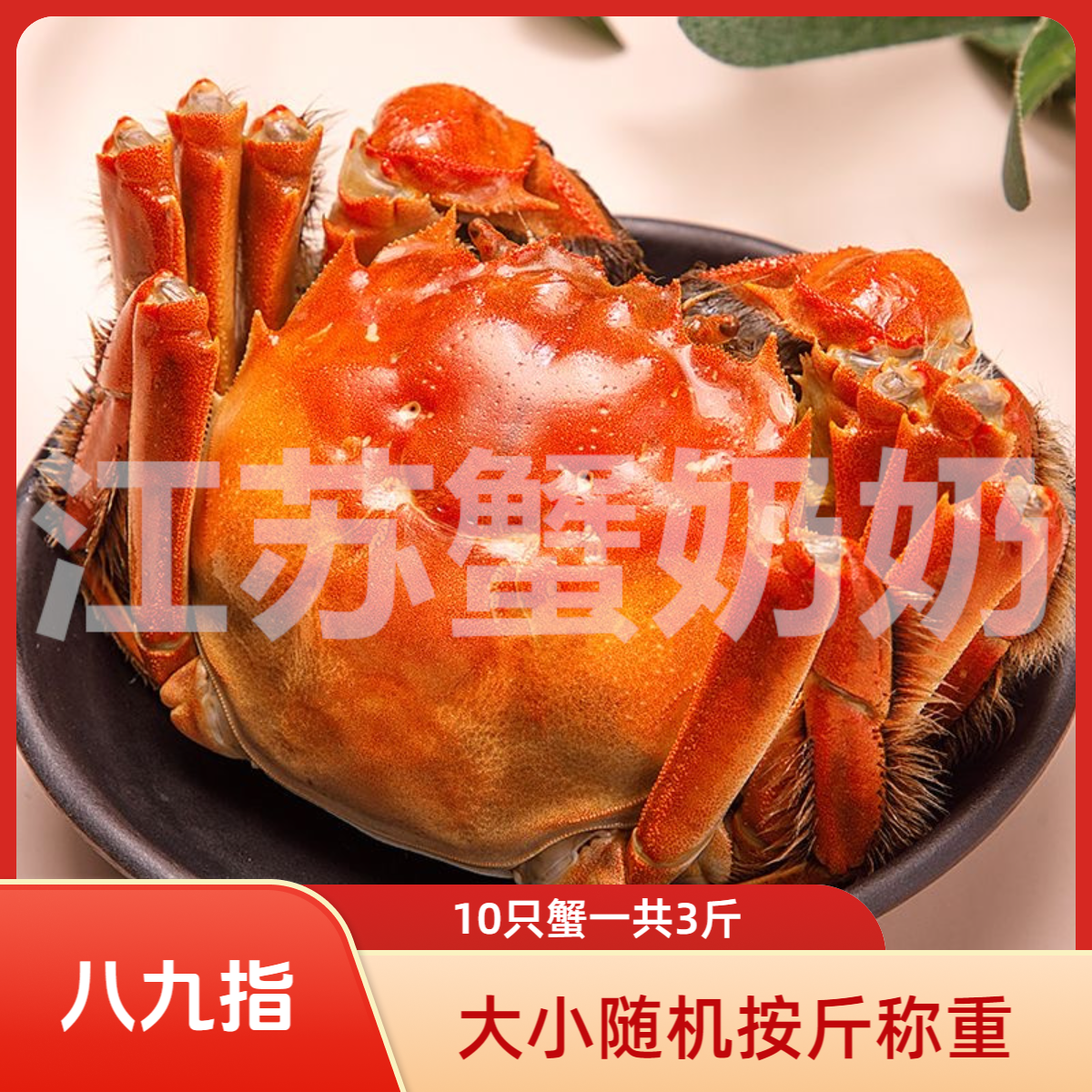 【活蟹】大闸蟹3斤10只平均3两现货鲜活洪泽湖螃蟹公蟹清水螃蟹顺丰