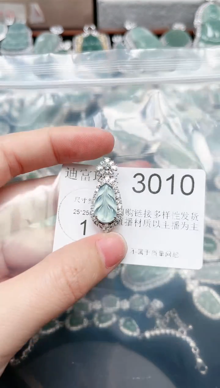 【闪购商品】翡翠颈饰未镶嵌3010赠皮绳