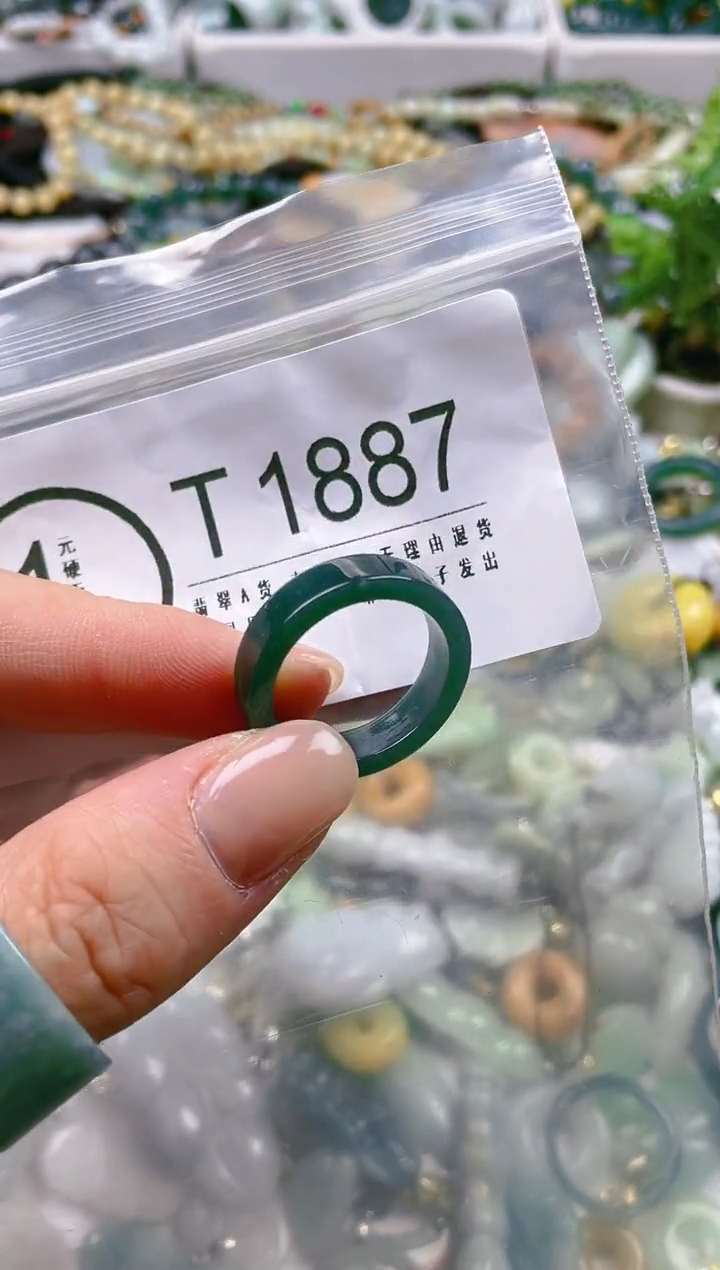 【闪购商品】翡翠颈饰未镶嵌19/T/翡翠A货一图一物