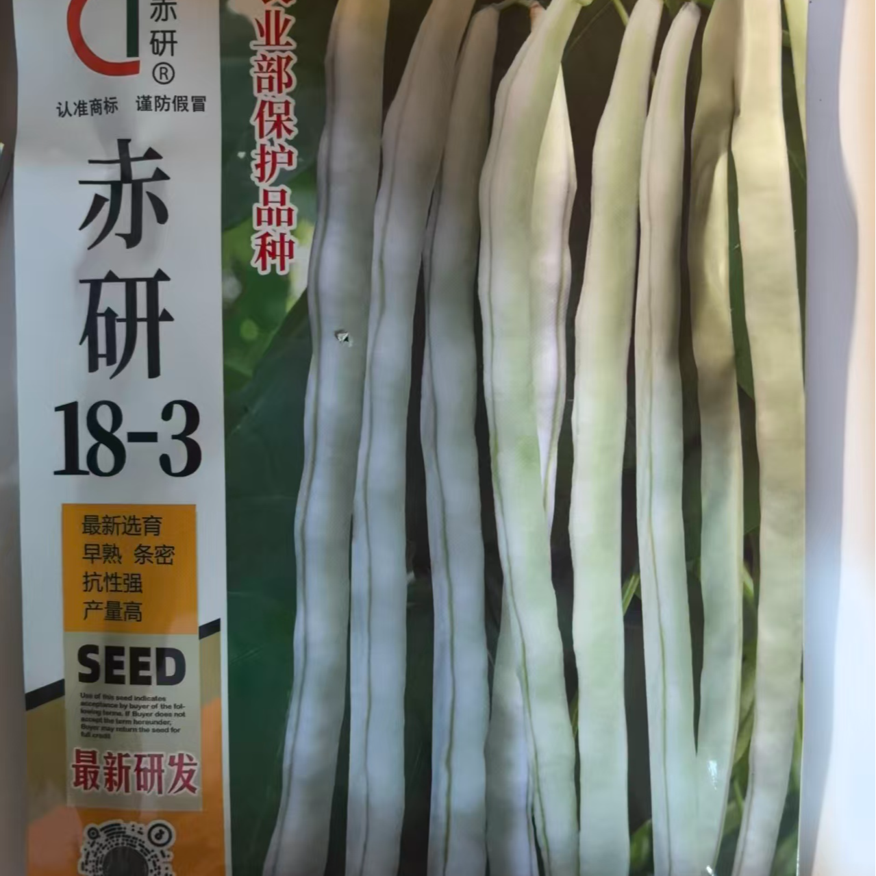 赤研18-3极早熟芸豆白花荚密荚扁圆坐荚能力强耐热性强嫩荚无纤维