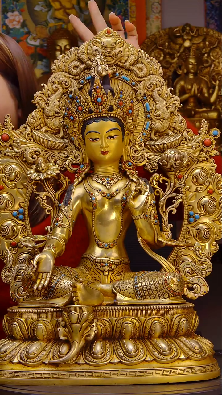 喜0000000000000000000