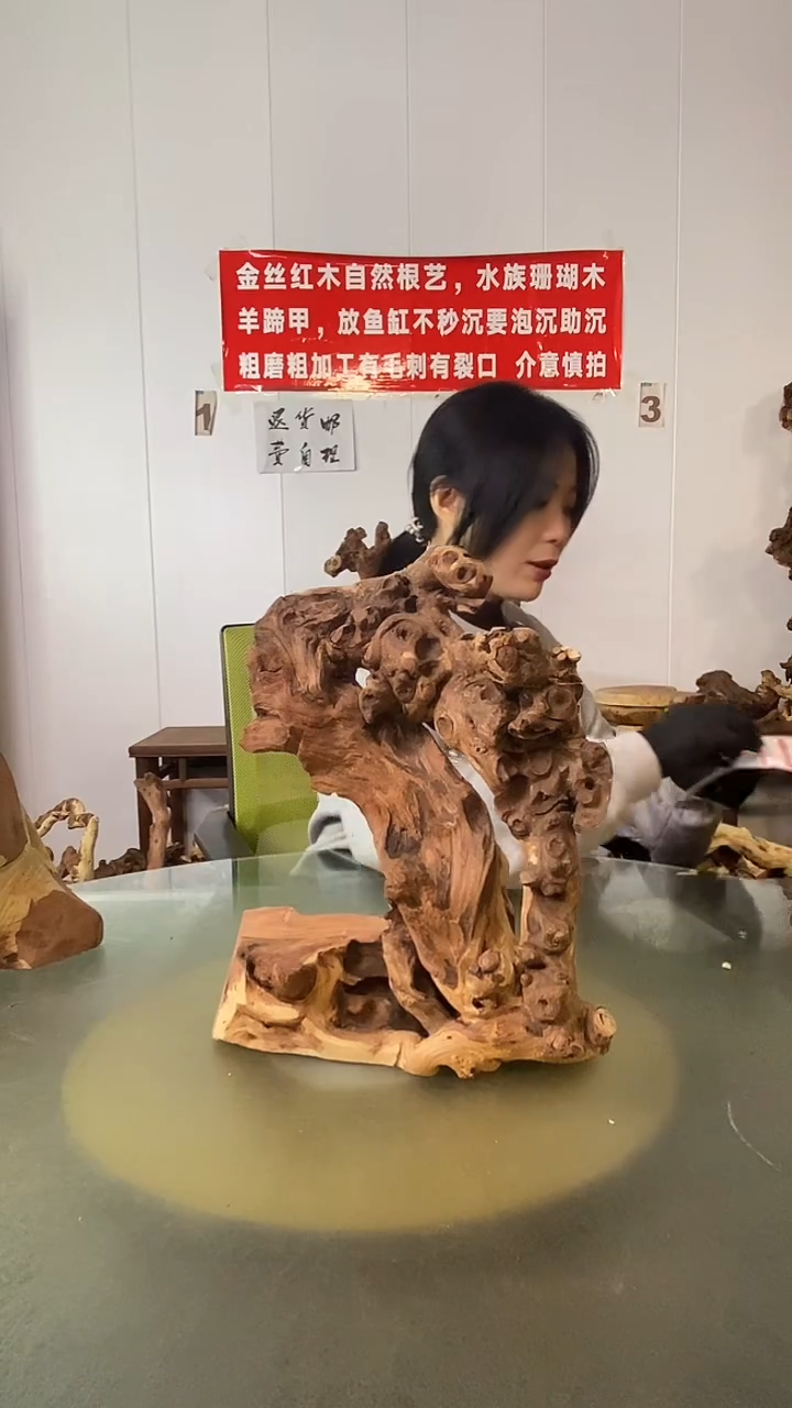 木山*金丝红木  羊蹄甲