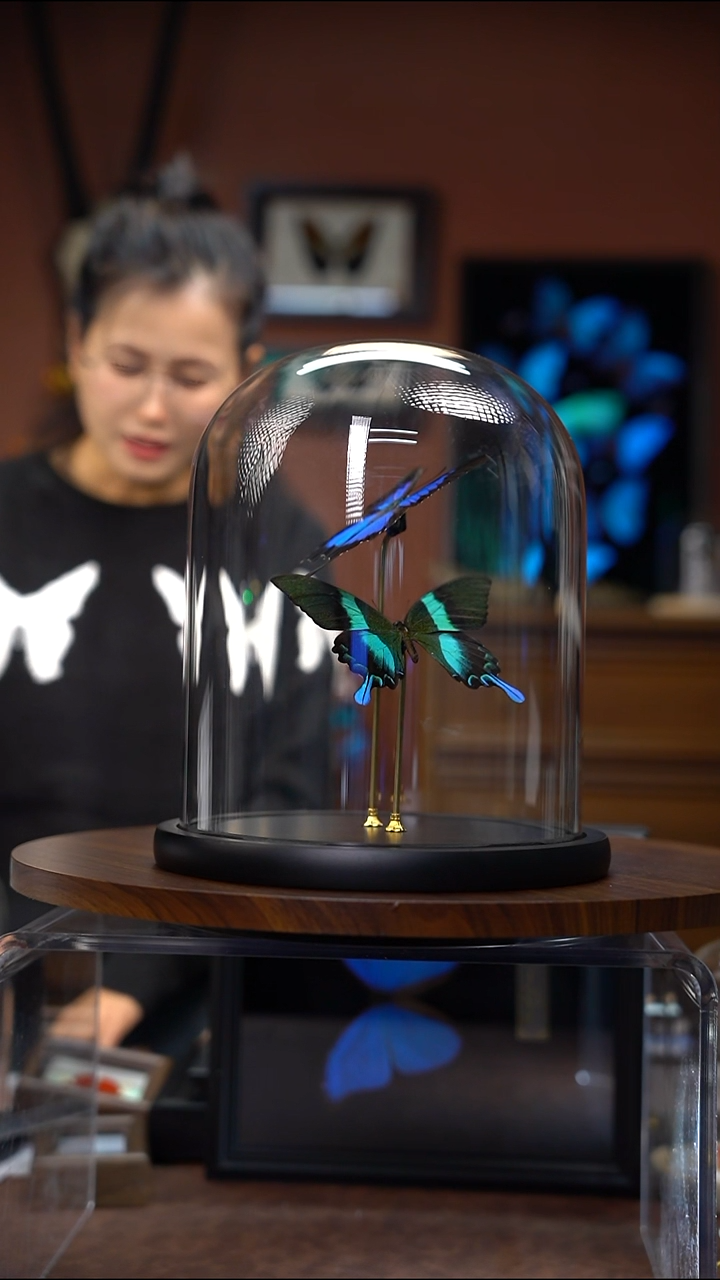 N812   天堂爱神组合玻璃罩