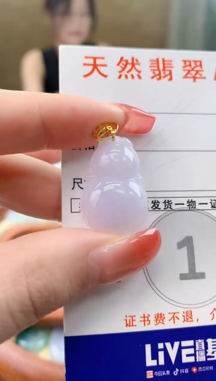 颈饰未镶嵌翡翠天然A货翡翠挂件