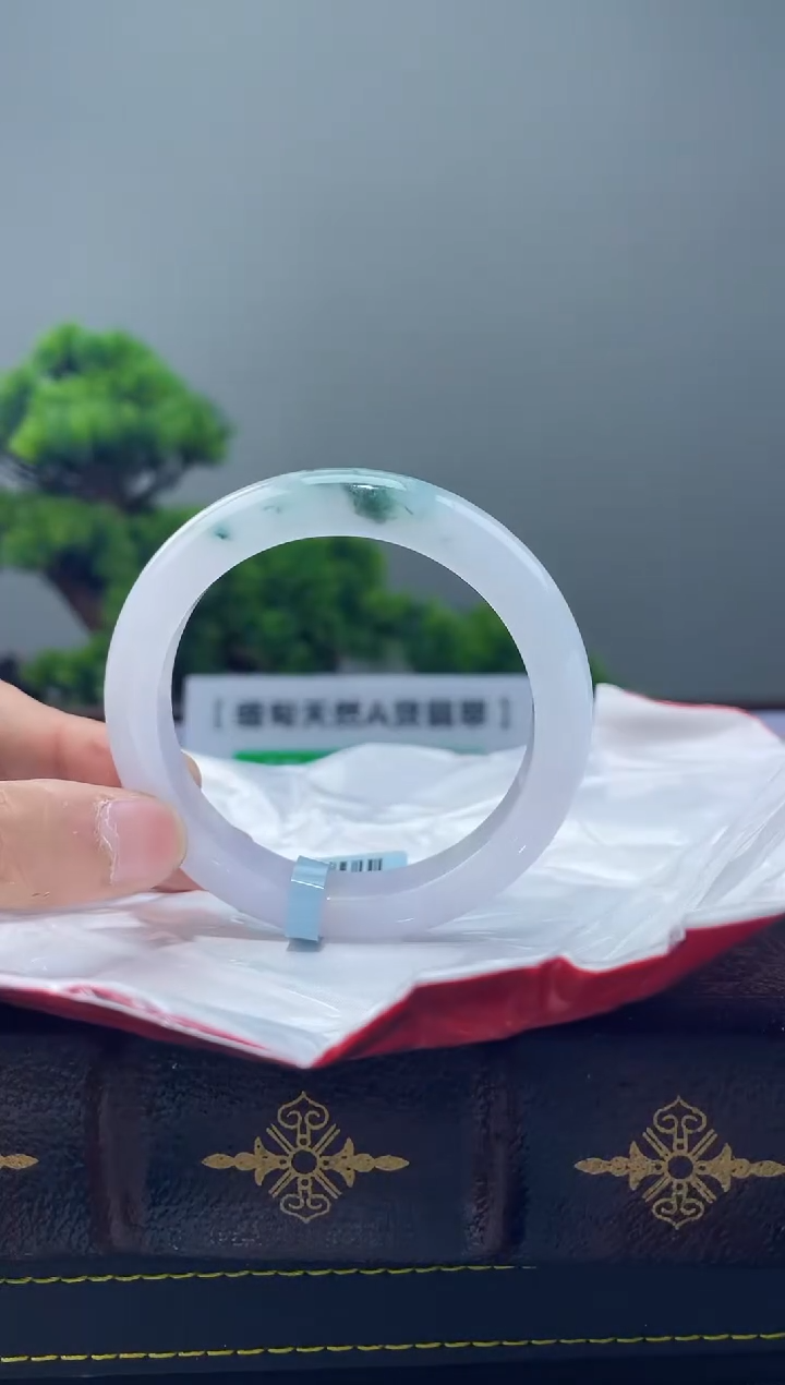 【闪购商品】翡翠手镯未镶嵌手镯5