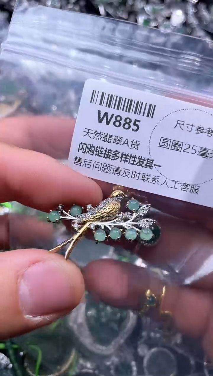 【闪购商品】翡翠颈饰未镶嵌W885胸针
