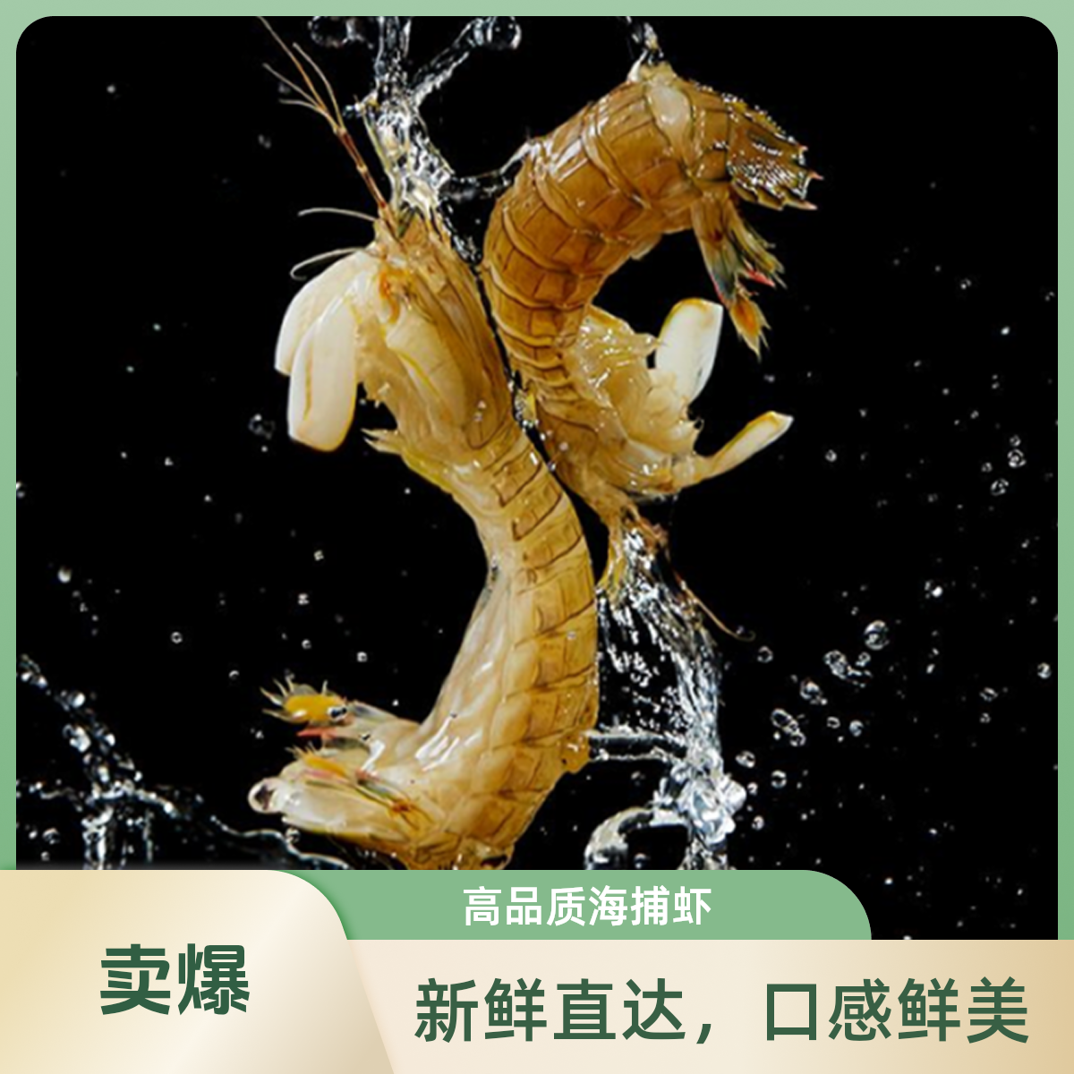 【鲜活皮皮虾 】中大号（每斤23-28只左右） 虾爬子 皮皮虾       【保鲜不保活】爬爬虾 虾爬子 备