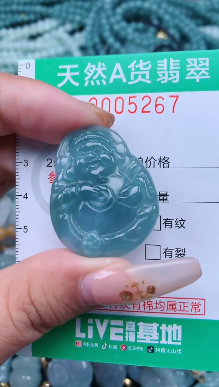 【闪购商品】翡翠颈饰未镶嵌.0005267