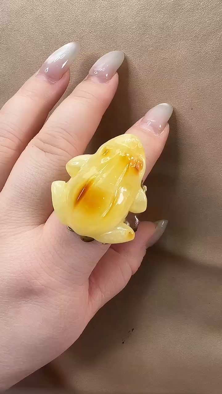 琥珀颈饰未镶嵌戒指