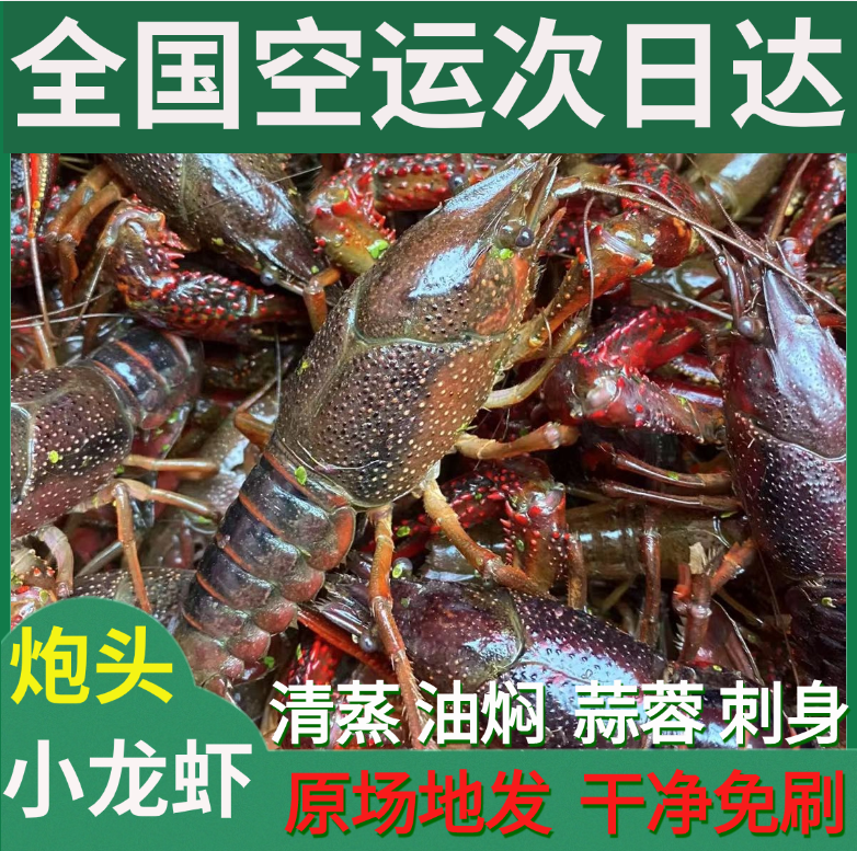 湖北潜江清水鲜活小龙虾炮头大龙虾（肥肥虾庄同款清蒸虾）
