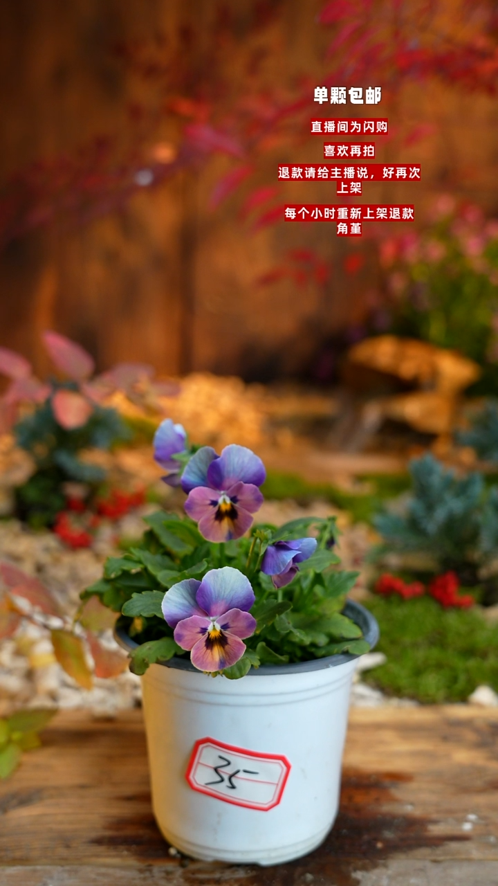 全部花朵布*000000035