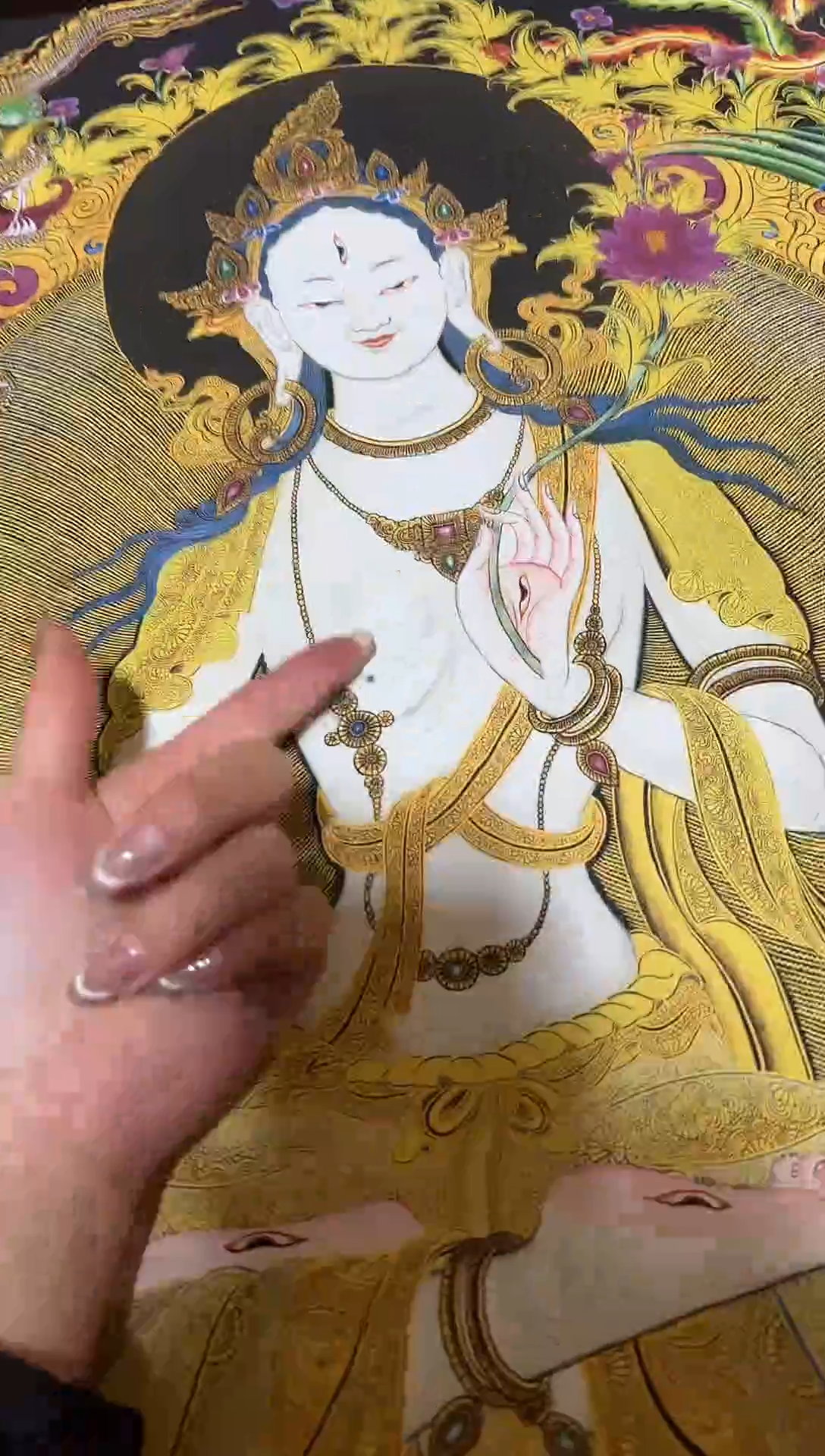 卷轴画精品文化====藏藏-45