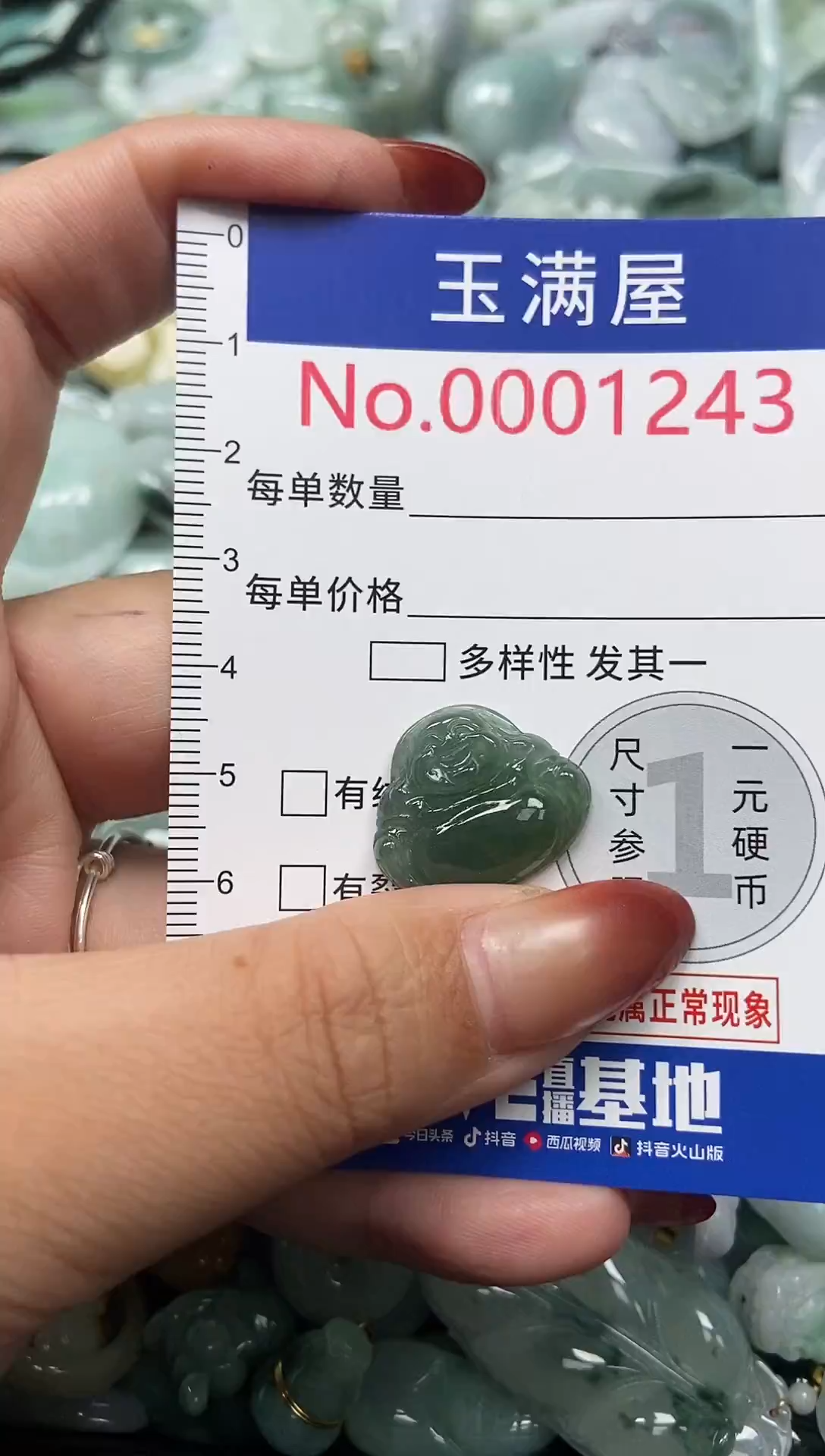 颈饰未镶嵌翡翠1243