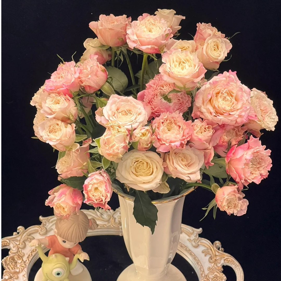 【乐悠】云南斗南基地现采现发品质乐悠多头玫瑰花