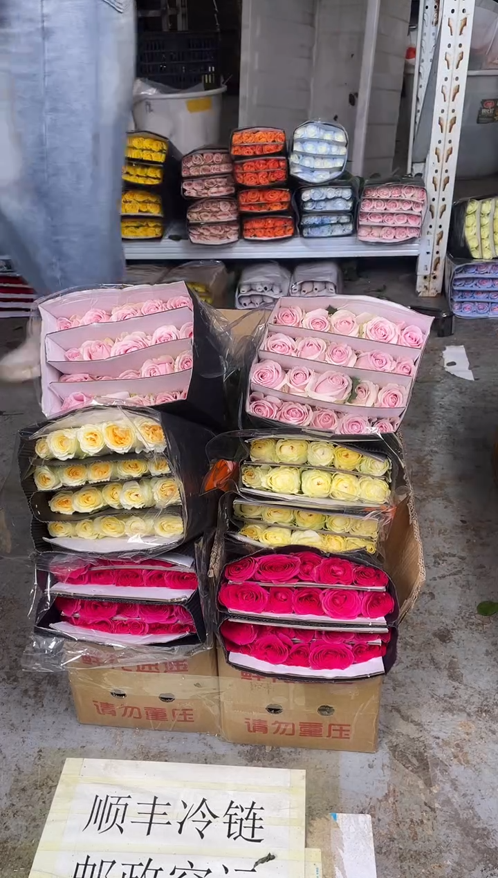 佛洛依德20枝+粉红雪山20枝+奶油杯20枝