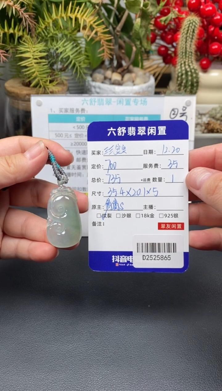 颈饰未镶嵌翡翠?**安D2525865