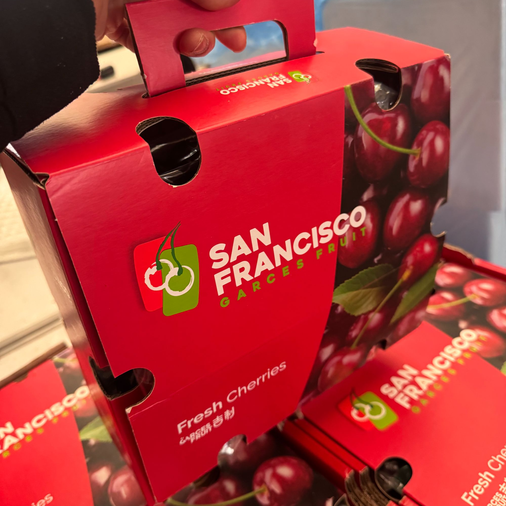 三藩市吉制  3JDD 大G智利  海运车厘子进口车厘子 净重1-5斤内附果径卡桑提娜樱桃