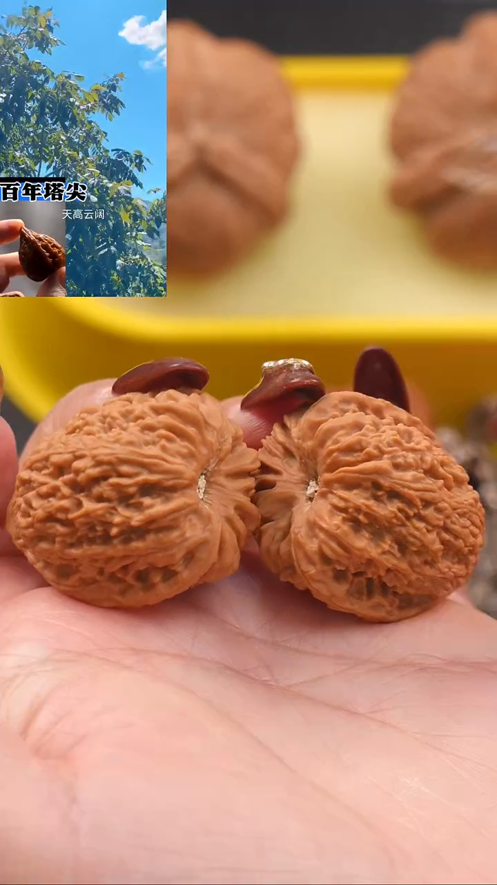 【闪购商品】文玩核桃吊坠31蚂蚁王金字塔（窝底）