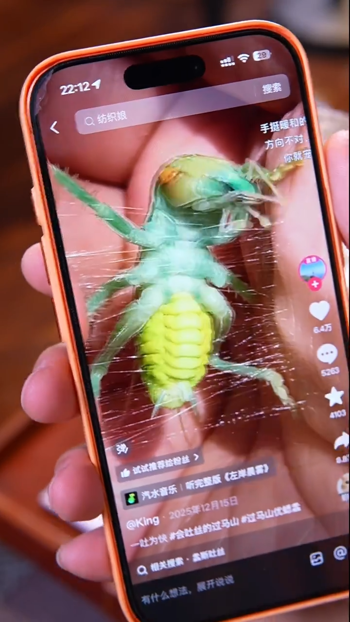 过马山奥特曼小虫