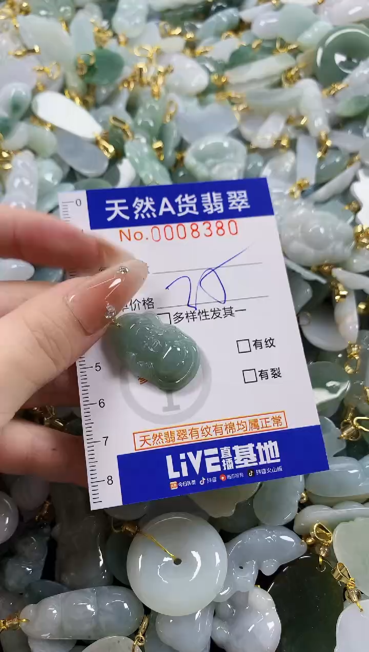 颈饰未镶嵌翡翠天然A货翡翠