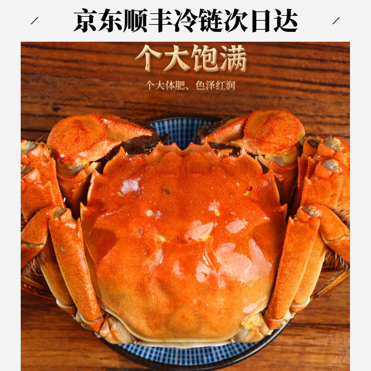 【活蟹】现捕现捞大闸蟹公5.0-4.7两母4-3.7两母共6-10只N03