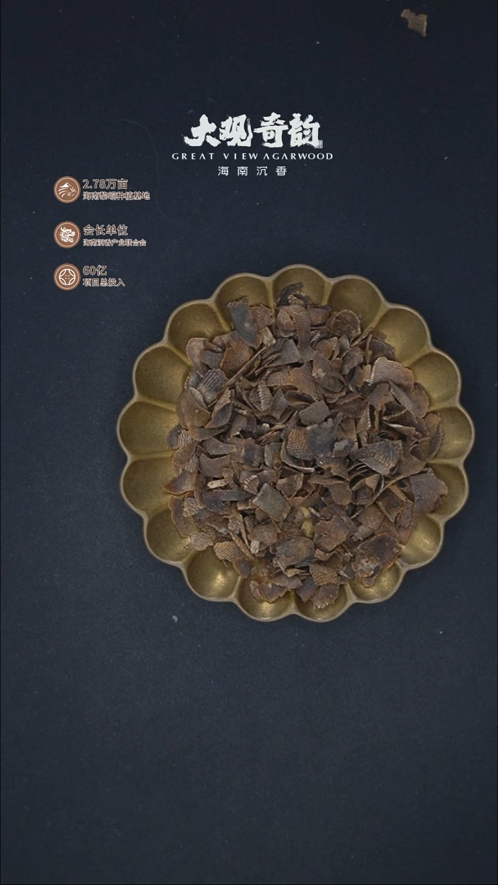 沉香沉香碎屑金*果【糖豆坠】海南莺歌绿1.4g