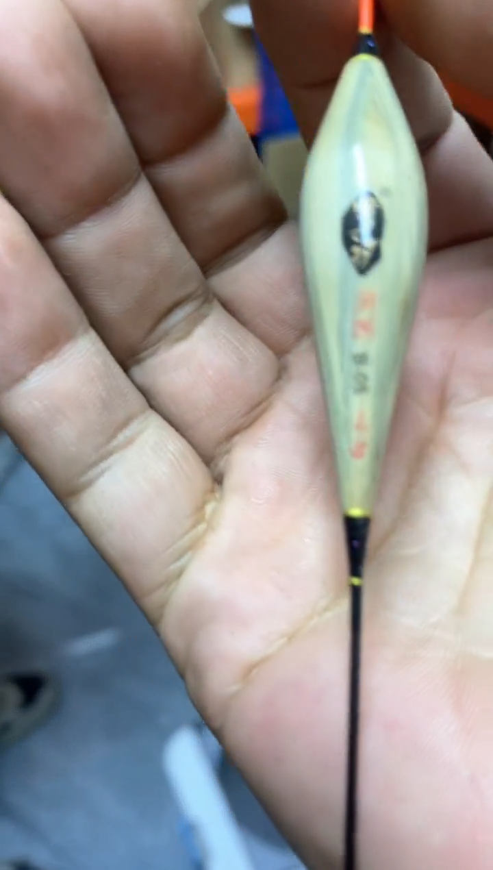 带壳芦苇潜水票三支   