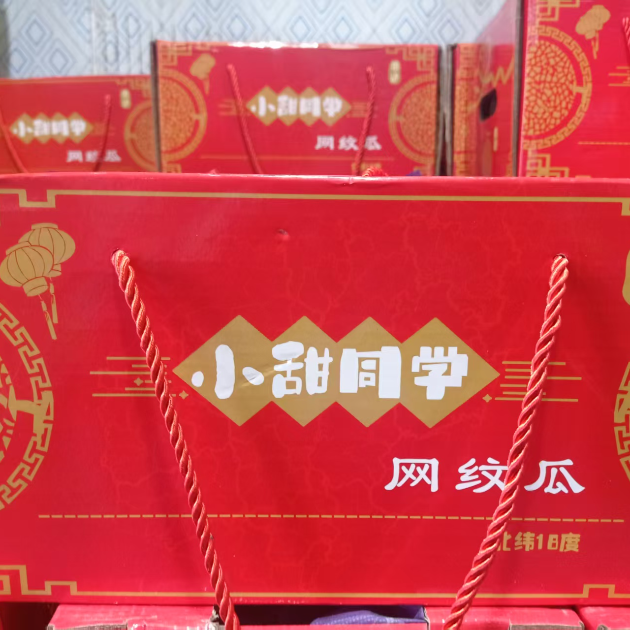 【阿班果业松北仓】小甜同学网纹瓜 毛重7.2斤  2粒装