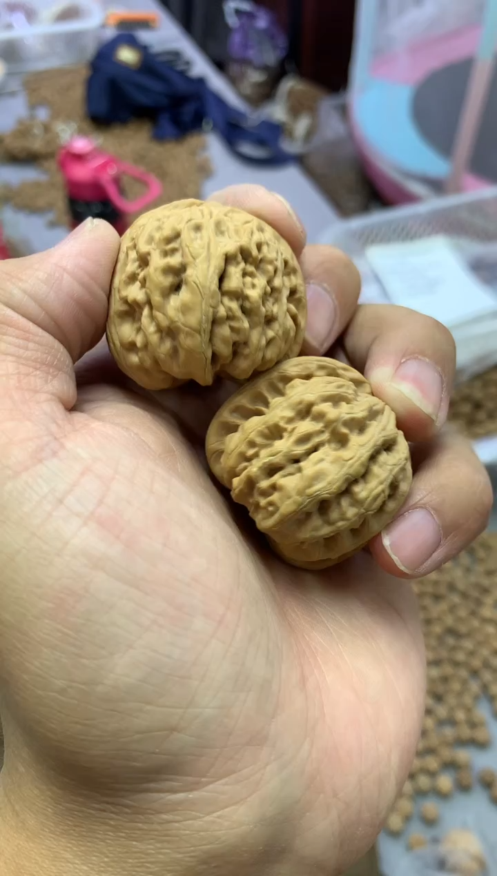 金刚菩提手串5500000000