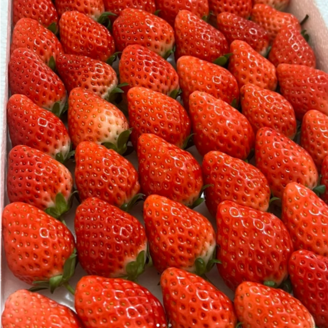 【当天新货】丹东久久草莓1盒+菠萝蜜1盒+3JD车厘子1盒（300g左右/盒）安徽省