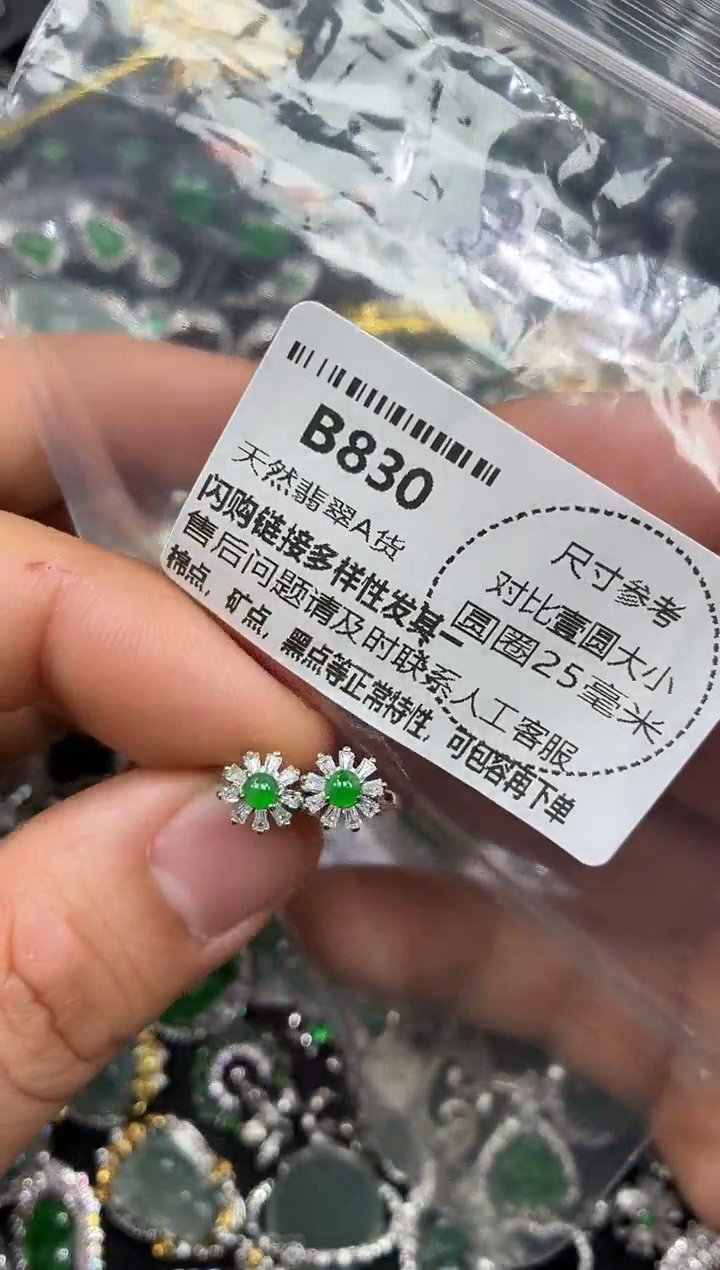 颈饰未镶嵌翡翠B830耳扣