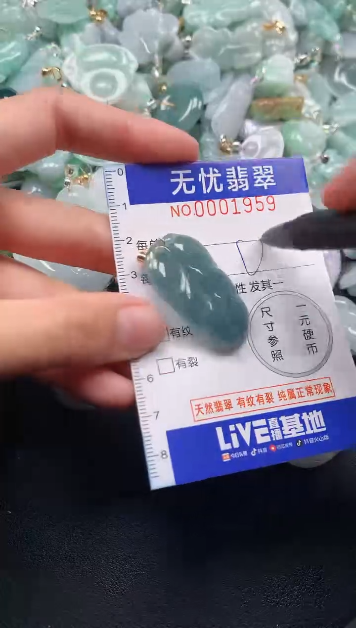 颈饰未镶嵌翡翠1959