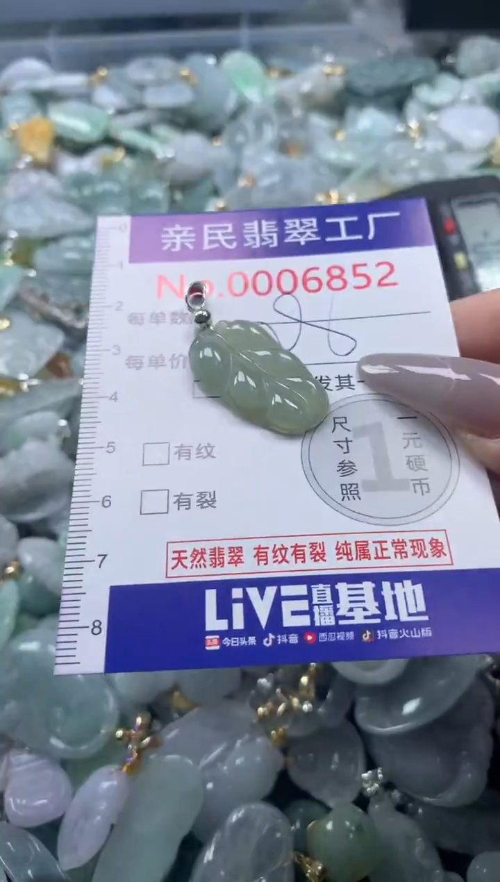 颈饰未镶嵌翡翠6852