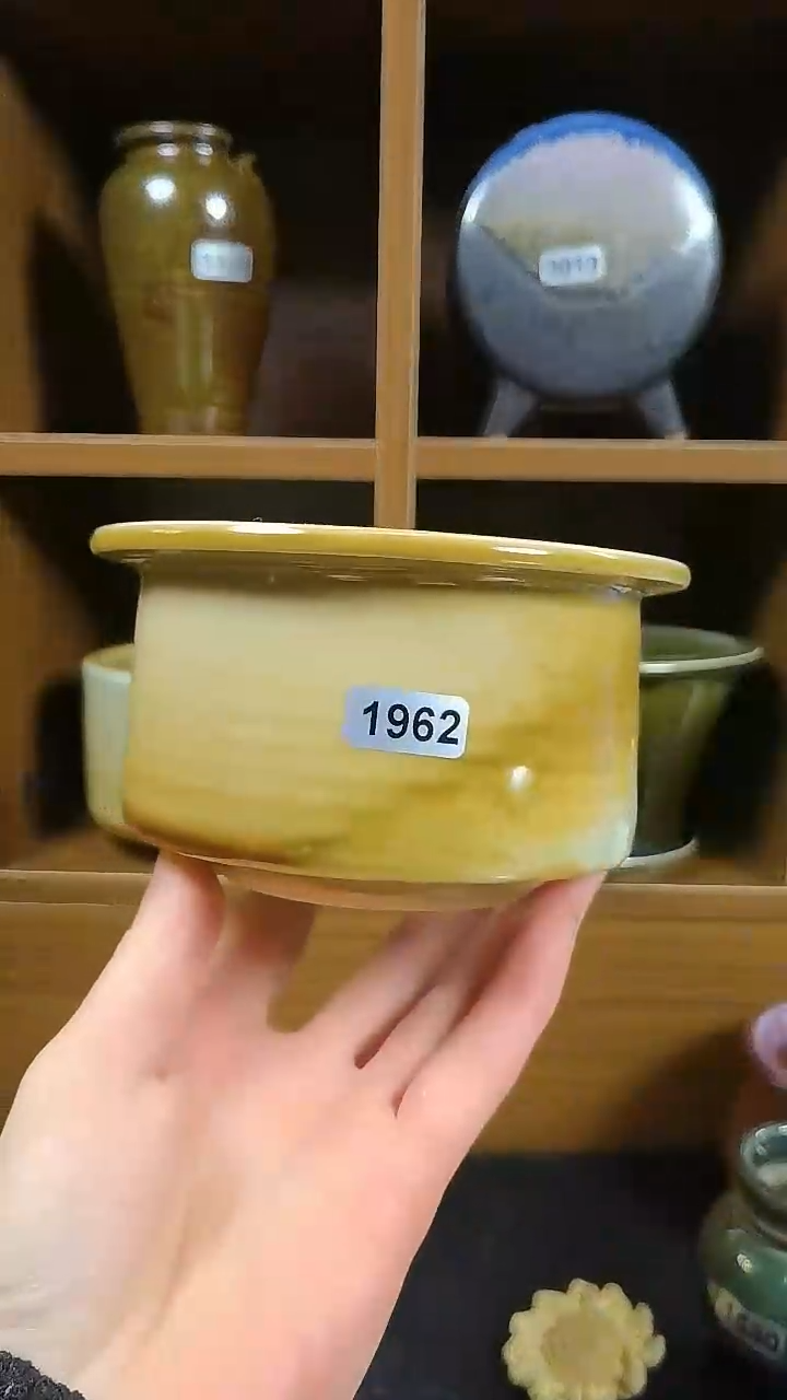 【闪购商品】红陶1962