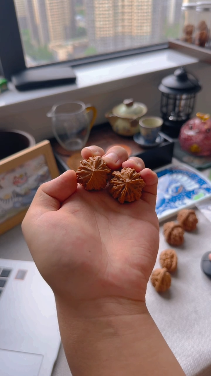 文玩核桃岐山三棱