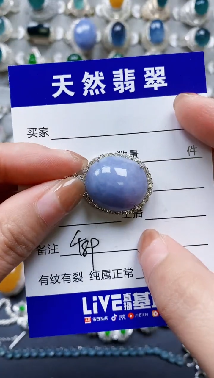 【闪购商品】翡翠颈饰银S925镶嵌0489