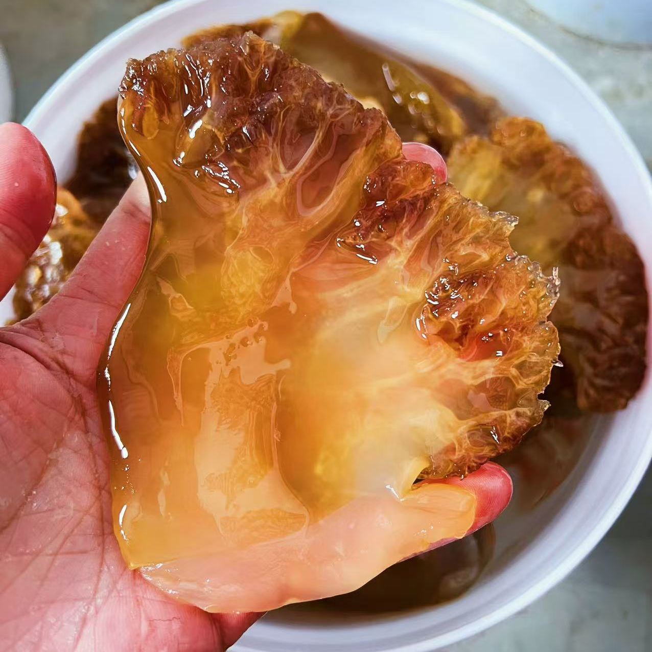海蜇头[特特叶]24年新货野生海蜇头特特叶[精品货非常大]产地直销