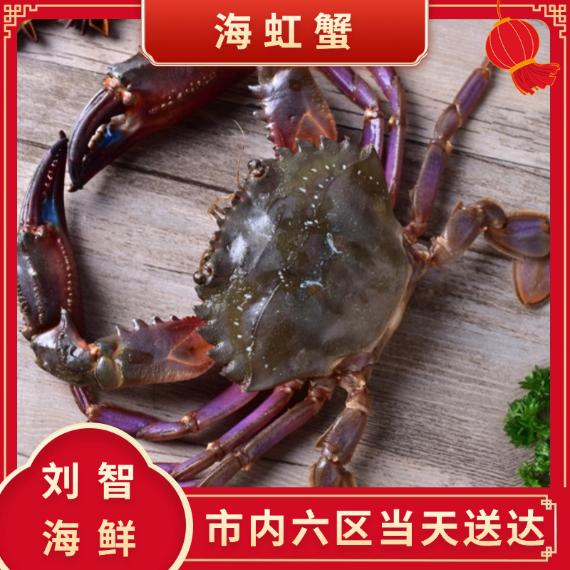 海虹【保鲜不保活】一只3两左右 海产 2-5斤 不保活